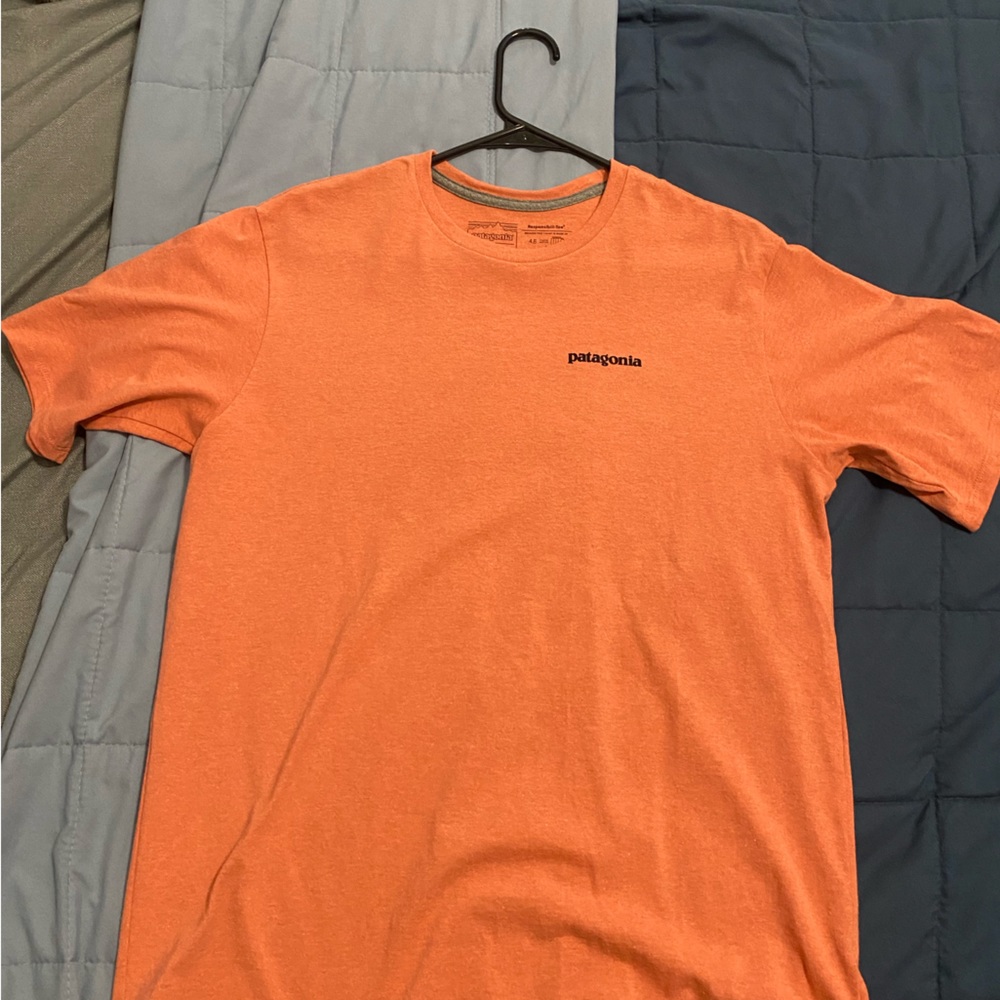 Patagonia Mens tshirt